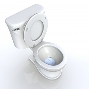 Mini Mops House Cleaning - Clean Toilet