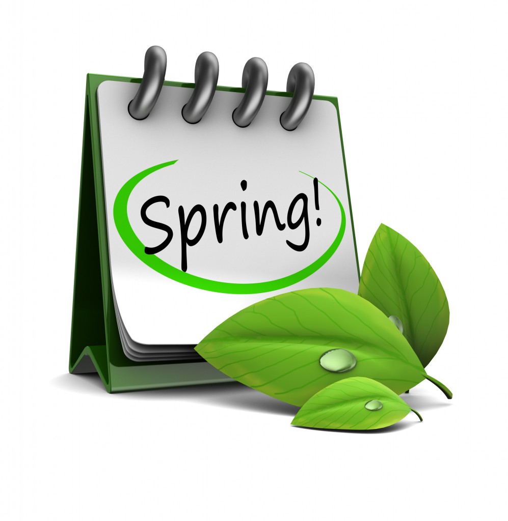 Spring Cleaning Checklist from Mini Mops House Cleaning