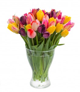 fresh spring tulips in vase to illustrate the Mini Mops House Cleaning article -  5 Ways to Keep May Flowers Fresh and Beautiful in Your Home  