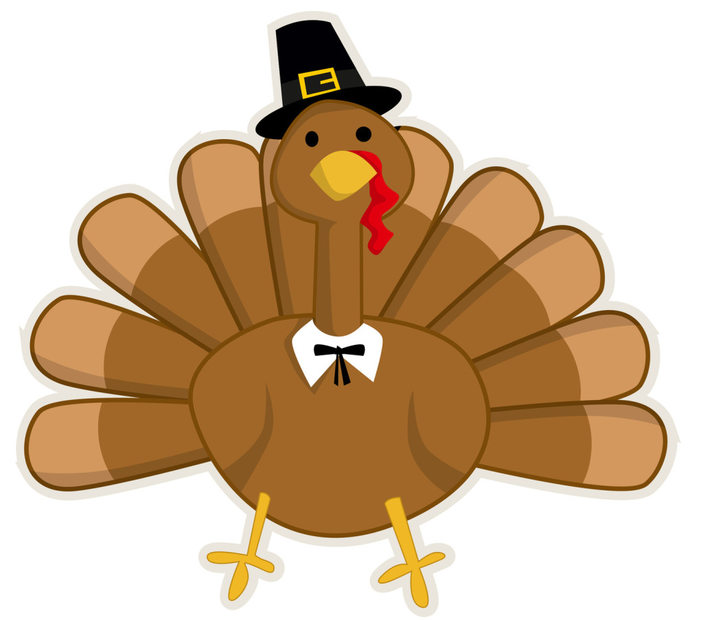 Happy Thanksgiving - Turkey Safety Tips