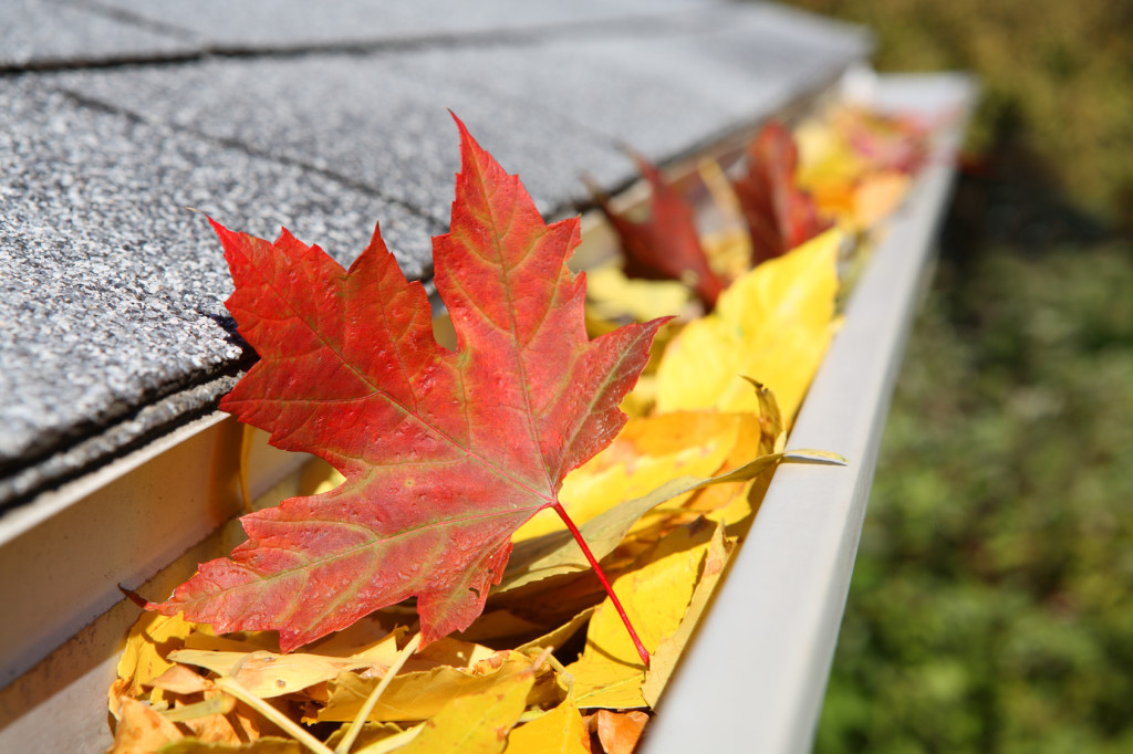 Fall Cleaning is not just for the outside of your home